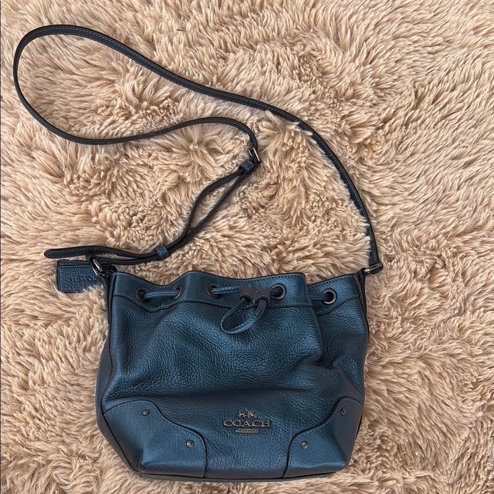 Coach Blue metallic Leather Women's Bag